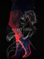 Secret Video